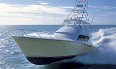 Miami Deep Sea Fishing Charters